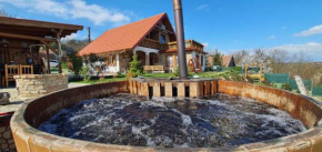 Holiday home in Balatonendred 44893, Balatonendréd